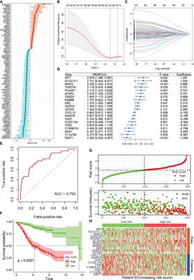 Identifying and evaluating a disulfidptosis-related gene signature to predict prognosis in colorectal adenocarcinoma patients